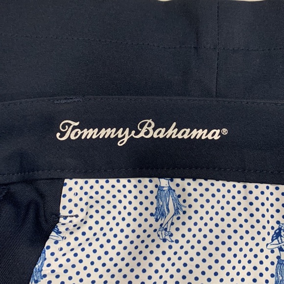 Tommy Bahama Men’s IslandZone Performance Pants. Size 38-30 - Picture 6 of 8